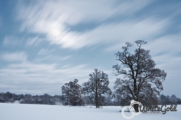 Winter I