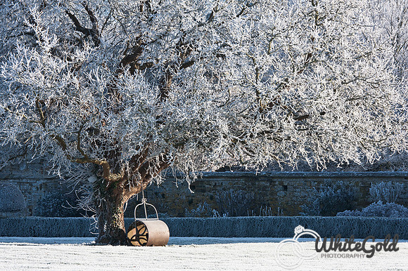 Winter IV